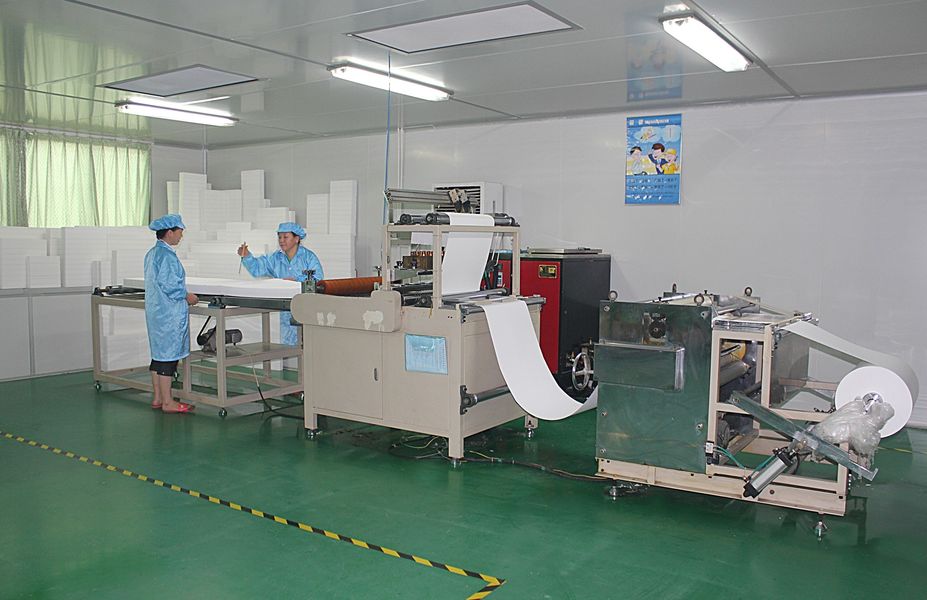 中国 Dongguan Ivy Purification Technology Co., Ltd. 